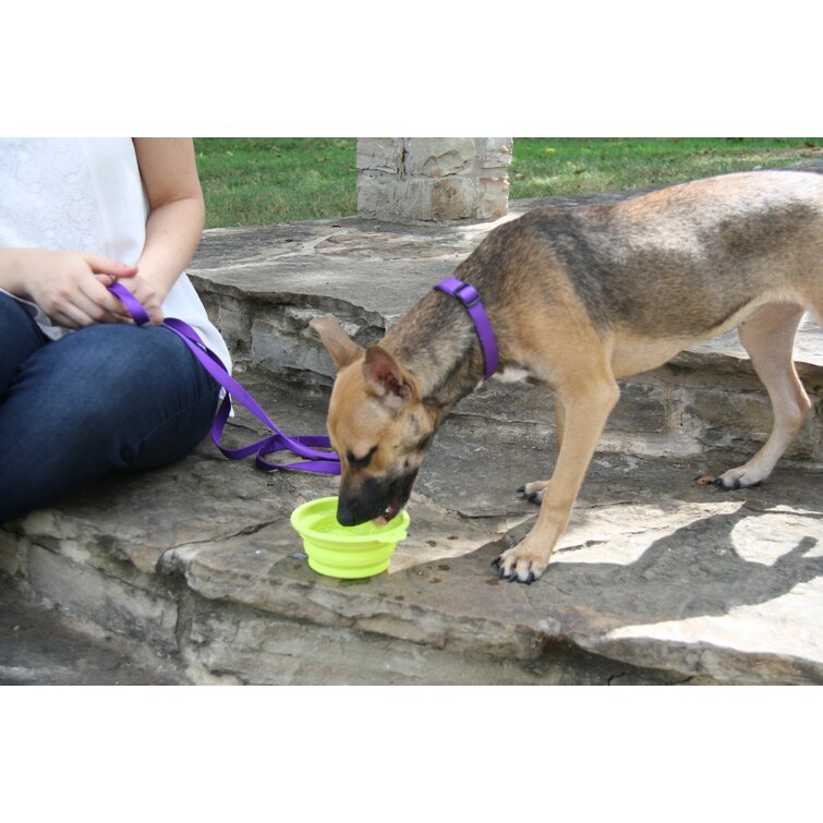 Petmate Round Silicone Travel Pet Bowl Blue