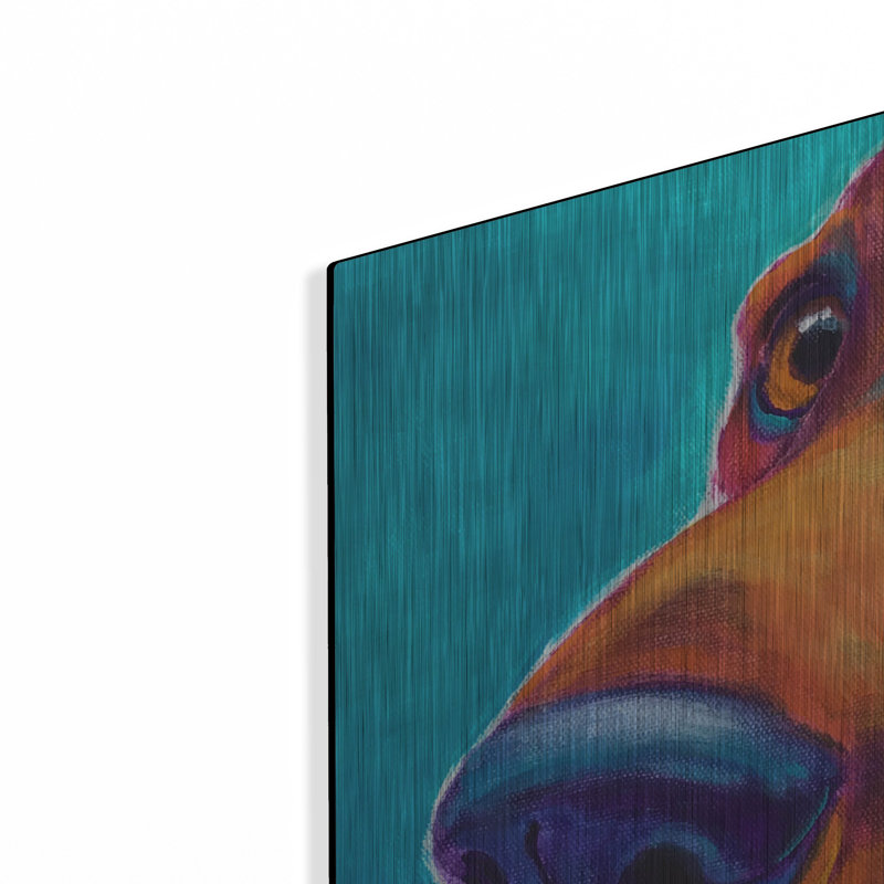 «Dachshund - Turquoise» par Dawg Painter, H 36 po x l 36 po