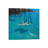 Turquoise Bay Rendezvous by Gordon Hunt - Gallery-Wrapped Canvas Giclée on Canvas-1463357934-1463357938