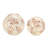 LED Frosted Berry Branch Globes (Set of 2)