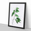 European Nettle Tree by Pierre-Joseph Redoute - Picture Frame Painting Print-55536015-55536013
