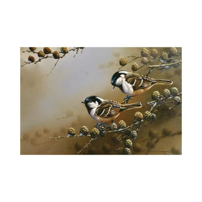 Two Birds On A Branch By Jan Weenink - Wrapped Canvas Panoramic Painting by Jan Weenink - Wrapped Canvas Panoramic Painting