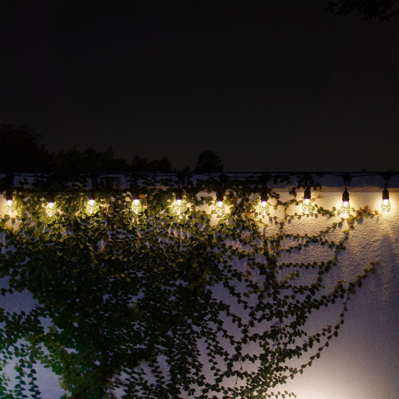 Marro Indoor 10 - Bulb 7.5'' Battery Powered LED Globe String Light