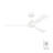 Martrell Ceiling Fan-75885278-87900162-111282299