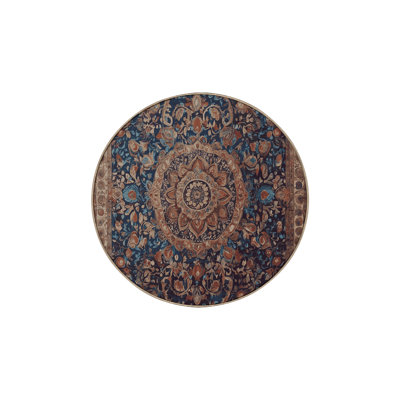 Silky Soft Plush Brown Area Rug