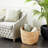 Milnor Seagrass Handmade Woven Decorative and Functional Storage Basket-245782953-245782810