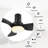 36'' Elaise 3 - Blade LED Flush Mount Ceiling Fans with Lights-283343856