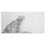 Art mural sur toile guépard, reproduction de la faune noir et blanc - guépard noir et blanc-29495815