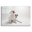 «Mouse Jack»-26948751