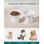 Elevated Feeder-124884118