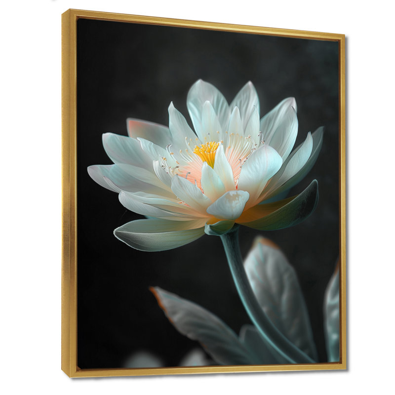 «White Crystal Lotus Garden Oasis Photo II», reproduction d'art mural Lotus, Cadre simple noir, H 30 po x l 40 po