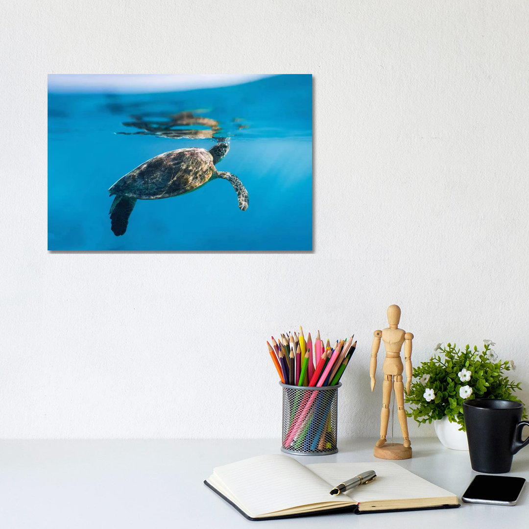 Large Turtle Underwater Reef by James Vodicka - Wrapped Canvas Gallery-Wrapped Canvas Giclée