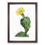 Flowering Prickly Pear Cactus - Framed Print-55576537-55576538