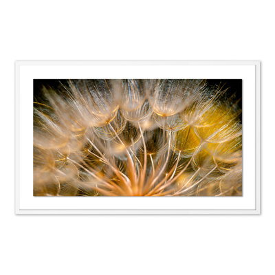 Float Away Print by Geoffrey Baris