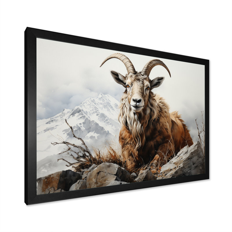 Goat Mountain Majesty sur impression sur toile, H 24 po x l 32 po x P 1 po, Cadre photo noir