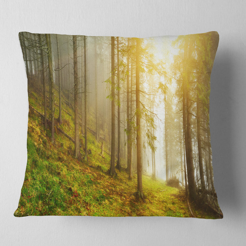 Coussin Forest, 16 po x 1 po, Coussin décoratif