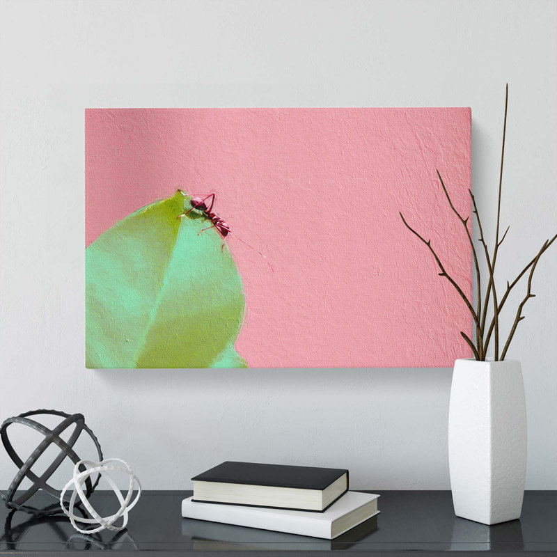 Ant - Wrapped Canvas Print, 35cm H x 50cm W x 3cm D