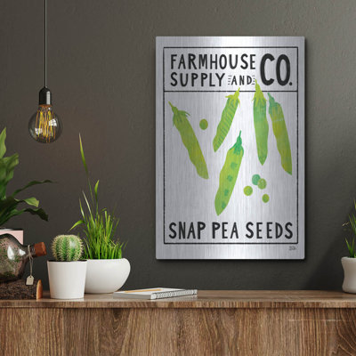 'Kitchen Garden Seed Packet 2' by Melissa Averinos Metal Wall Art