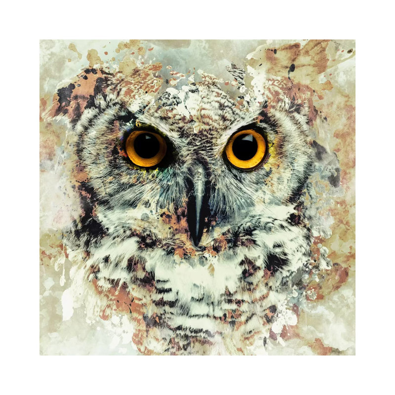 Owl II 1 Piece Wrapped Canvas Painting, 45.72 cm H x 45.72 cm W x 1.91 cm D