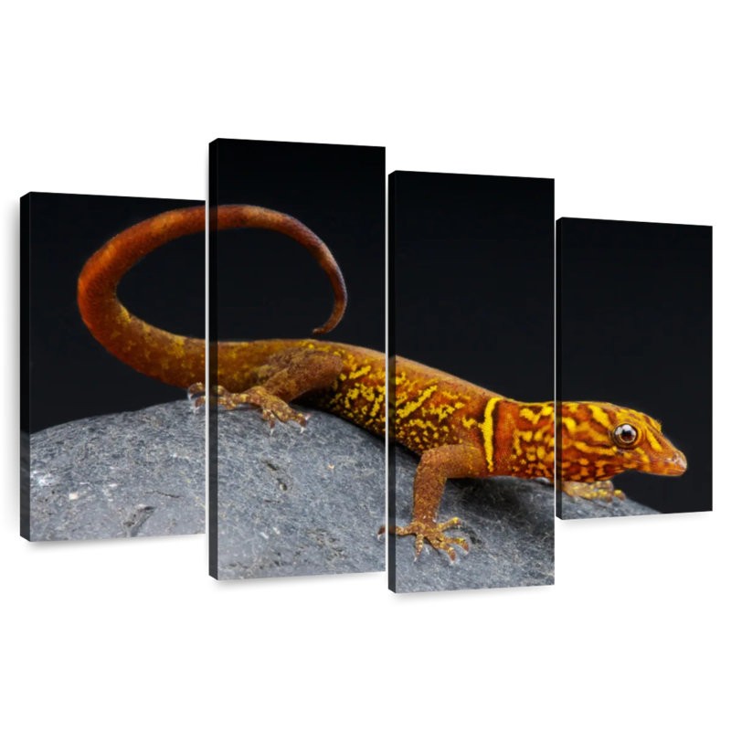 Brampt Gecko, 54" H x 84" W