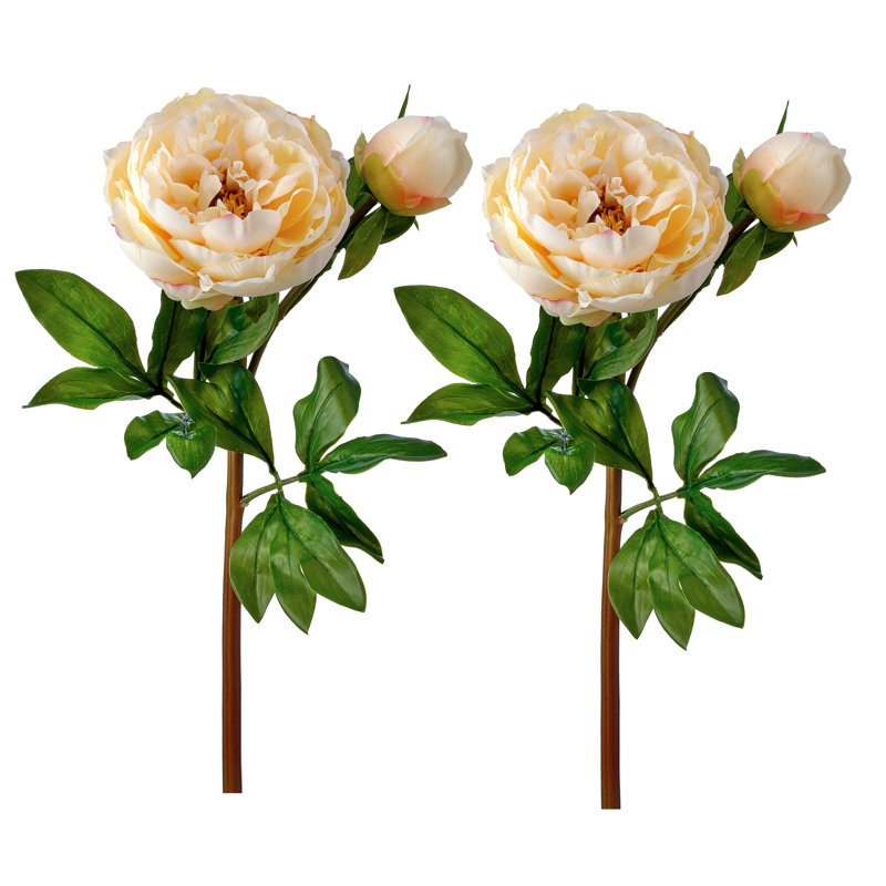 Pivoine de jardin 26 po Just Cut, Jaune, H 26 po x l 9 po x P 9 po