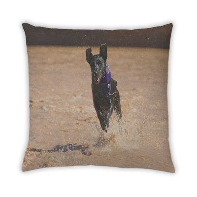 Coussin Dogs Dogs 76