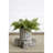 Funches Figurines & Sculptures