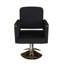 Chaise de salon hydraulique pivotante à 360 ° (paquet simple)