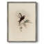 «Vintage Animal Print», impression encadrée en bois massif-1361859796