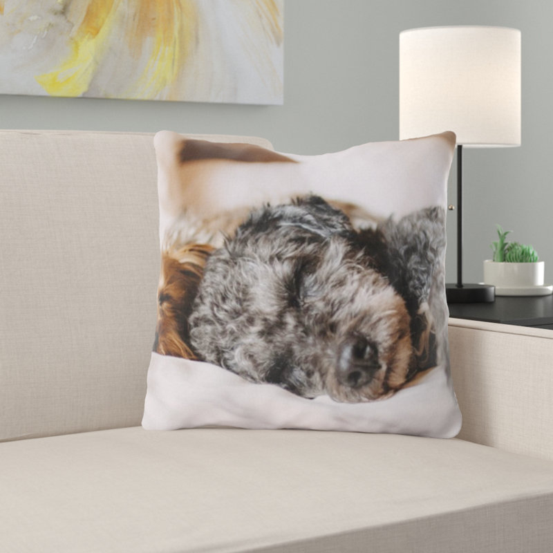 Microsuede Throw Pillow