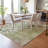 Machine Washable Indoor/Outdoor Brenden ACN2248 Floral Rug-1119347634