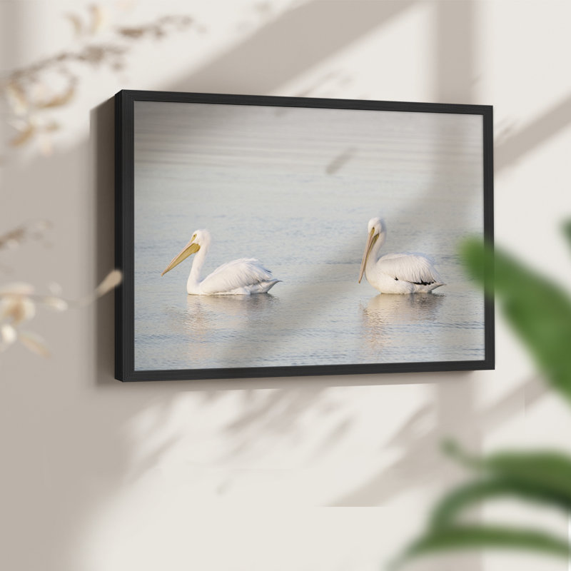 Pelican Pals -Framed Print - Restickable, H 11 po x l 14 po, Noir, noir, noir, noir