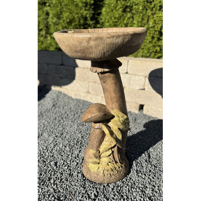 Bain d'oiseaux aux champignons