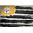 Pittsburgh Steelers