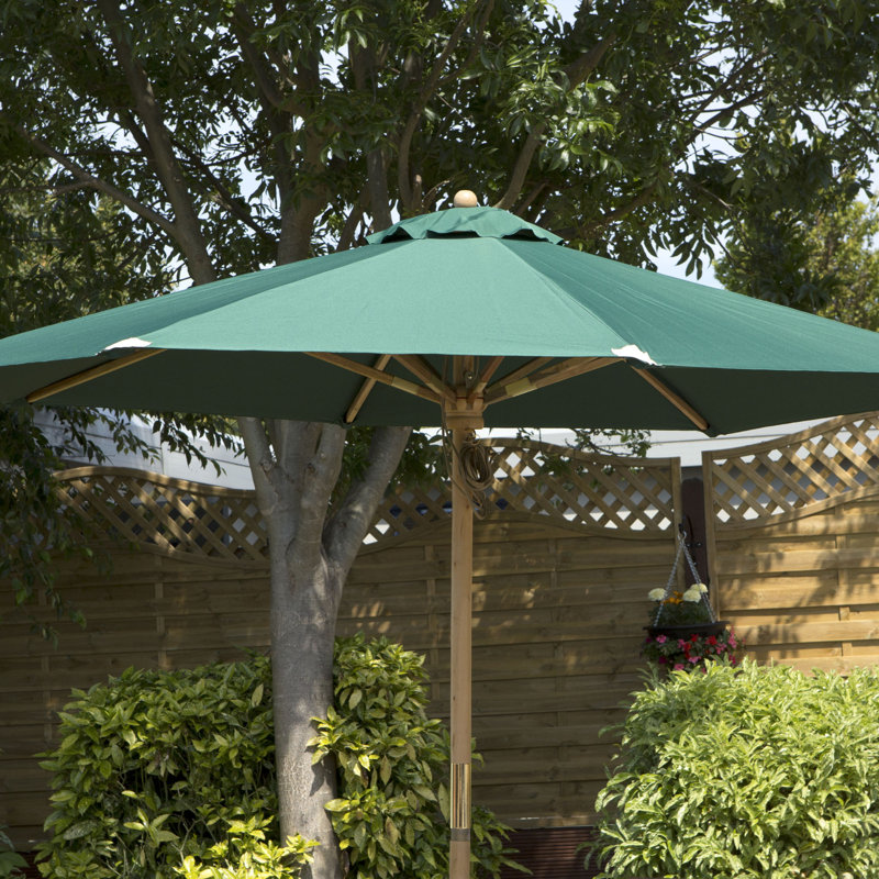 Faust 6 Seater Dining Set with Cushions, Green