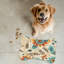 Tapis bohème Boho Hues - 1 pièce