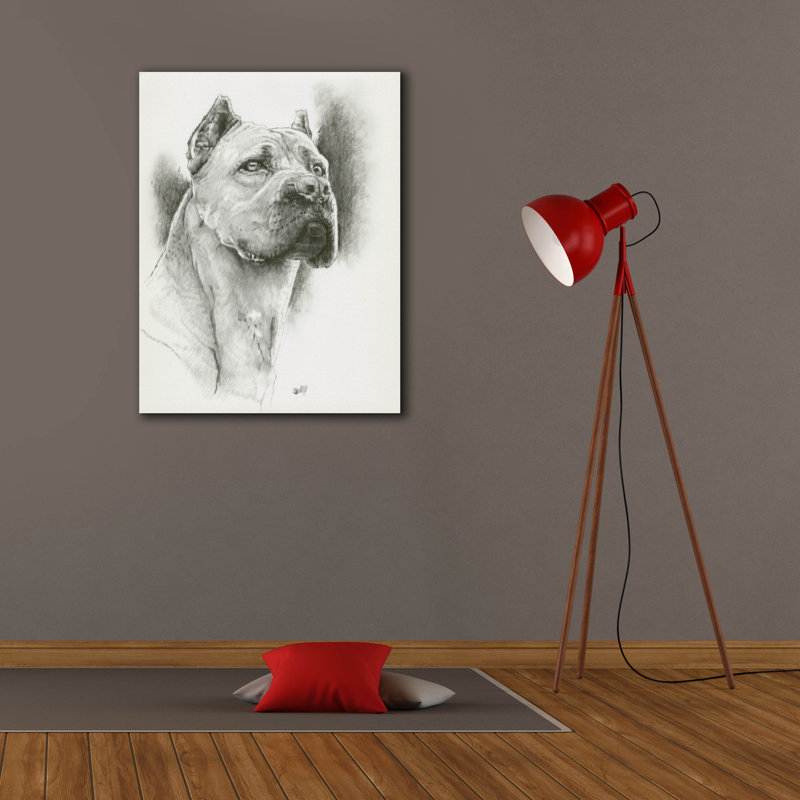 'Dynamic' by Barbara Keith, Canvas Wall Art, 34" H x 26" W