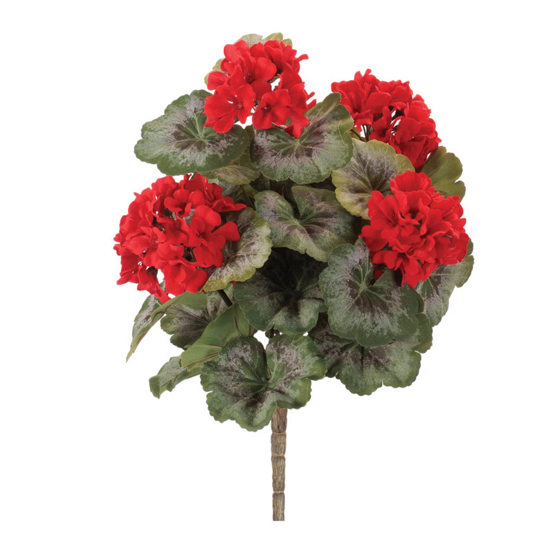Geranium buisson floral (ensemble de 2)