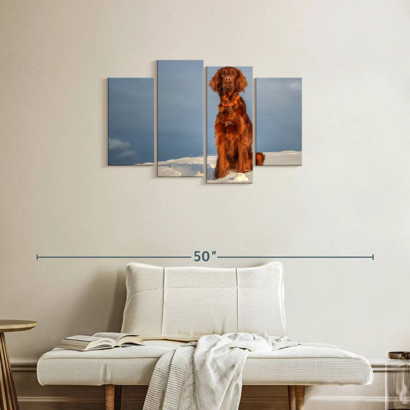 Setter irlandais Brampt sur neige, H 22 po x l 36 po