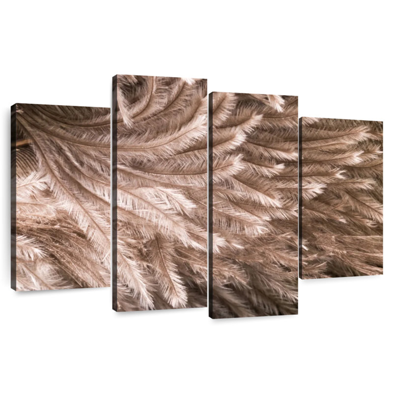Brampt Ostrich Feathers, 27'' H x 43'' W