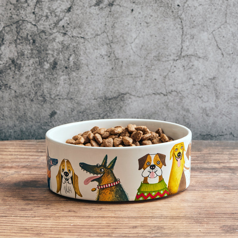 From Wags to Whiskers Dog Bowl, Large (5.72 cups)