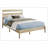 Queen Bed-2126931296