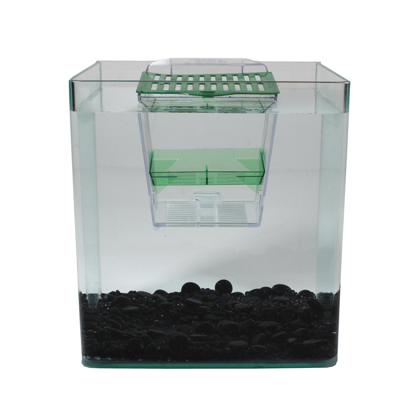  Multipurpose Enclosure