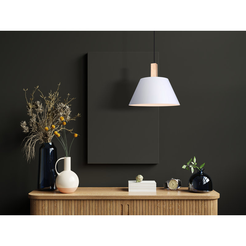 1 - Light Black/White/Wood Cone Pendant