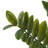 33"  Faux Money Tree in Pot Faux Tree