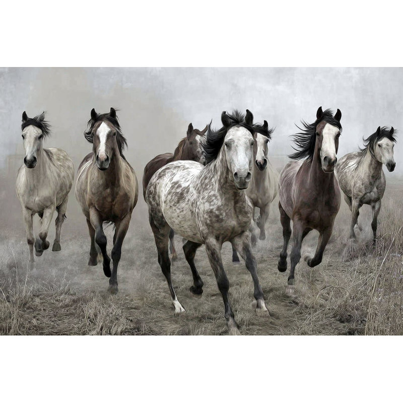 «Open Range», art mural sur toile tendue, L 16 po x H 12 po x P 1 po