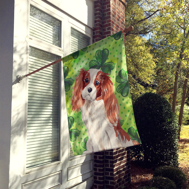 40 x 28 po en polyester à 2 côtés de la st patrick drapeau maison, Épagneul cavalier brun foncé