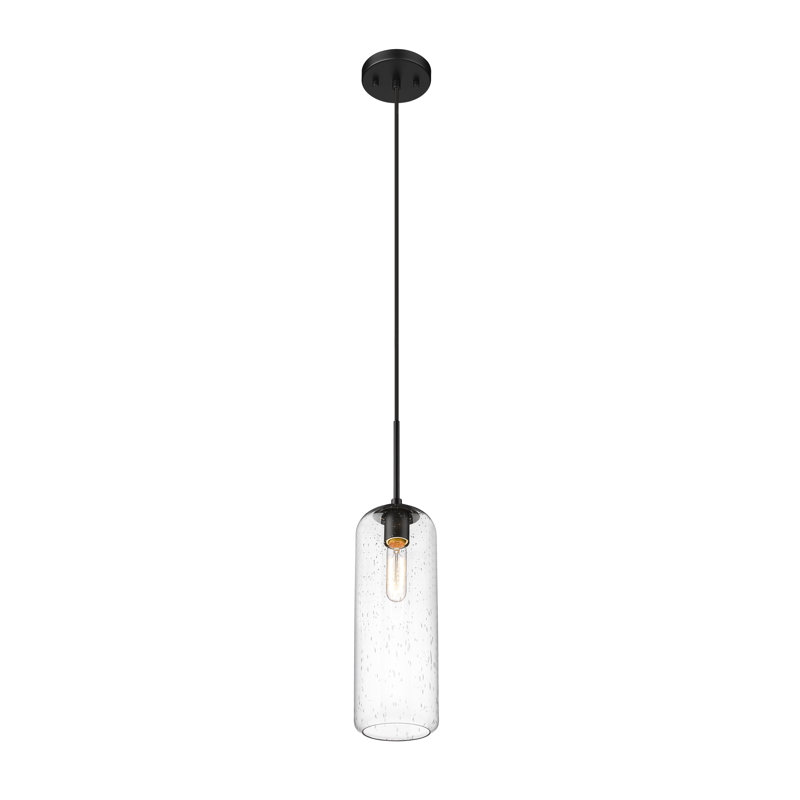 Luminaire suspendu 1 lumière Campos, Transparent, H 132 po x l 5,25 po x P 5,25 po, Noir mat
