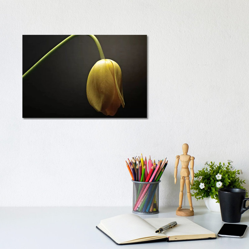 Studio Flowers IX by James McLoughlin - Wrapped Canvas Print, 20.32 cm H x 30.48 cm W