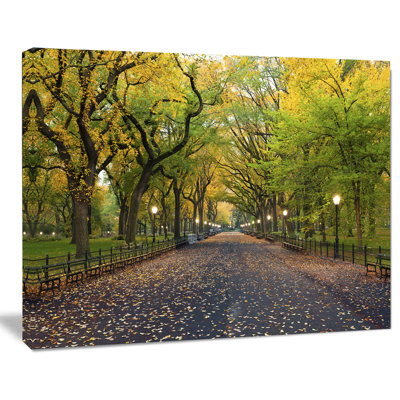 Cityscape Central Park Mall Area Canvas Photograph  Mall Area